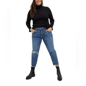 Anthropologie Pilcro NEW High-Rise Slim Straight Jeans